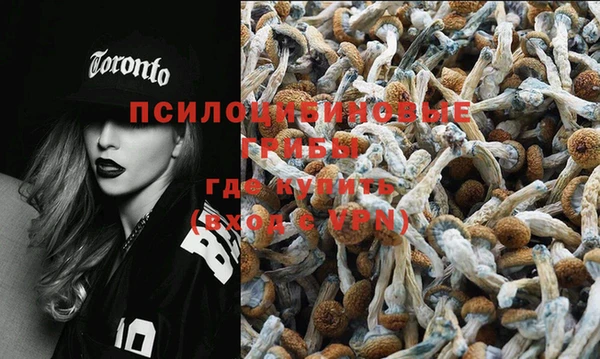 винт Баксан